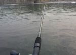 Zozn�mte sa pros�m: BROWNING METHOD FEEDER