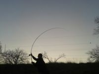Test feedrov�ch pr�tov-  Extr�mne nahadzovanie