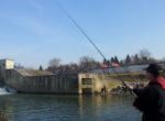Lov v zime efekt�vne